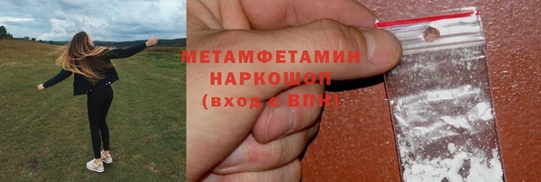 крисы Осинники