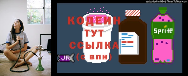 крисы Осинники